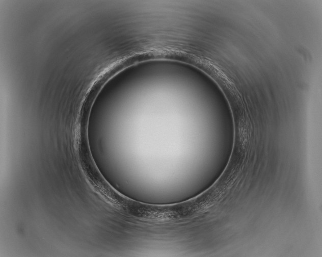 X0000112720488200908201251