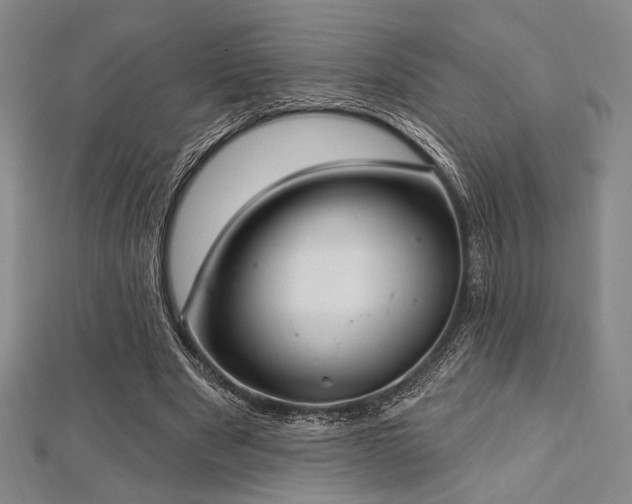 X0000112720489200908201251