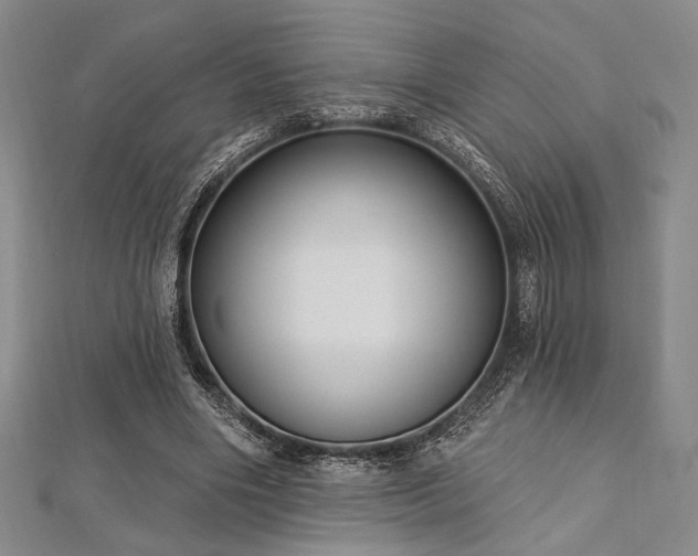 X0000112720490200908201251
