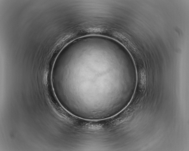 X0000112720491200908201251