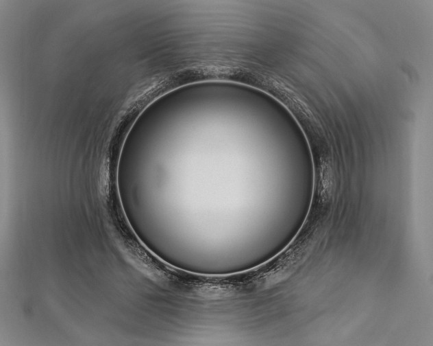 X0000112720494200908201251