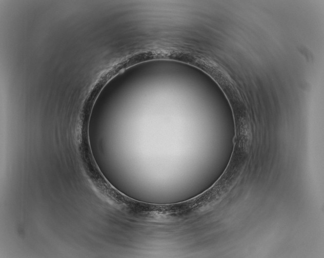 X0000112720496200908201251