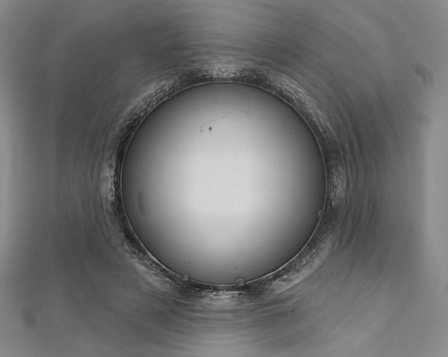 X0000112720497200908201251