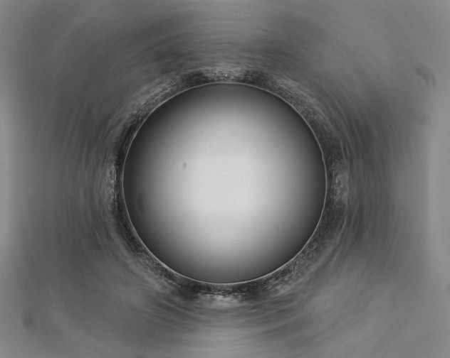 X0000112720498200908201251