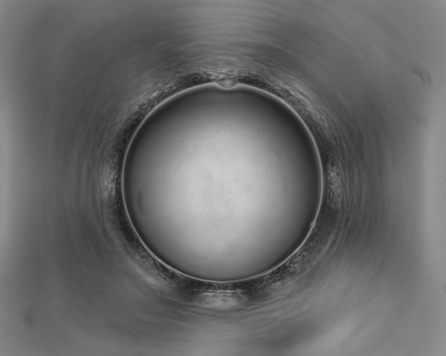 X0000112720499200908201251