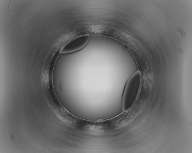 X0000112720500200908201251