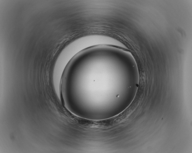 X0000112720504200908201251