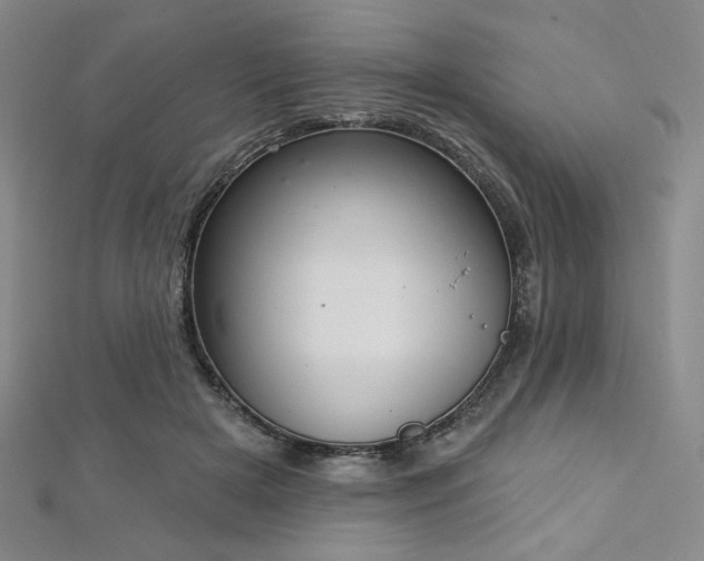 X0000112720505200908201251