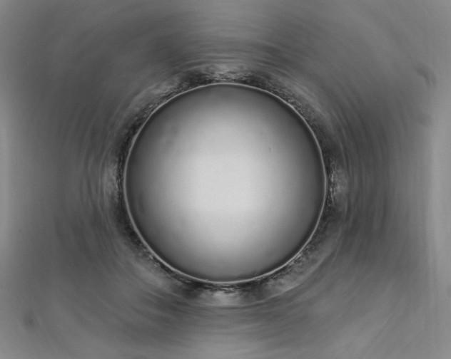 X0000112720506200908201251