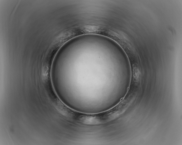 X0000112720507200908201251