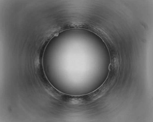 X0000112720508200908201251