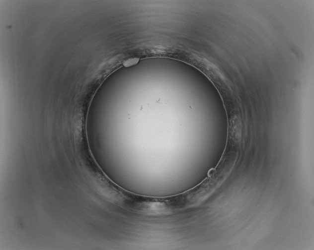 X0000112720509200908201251
