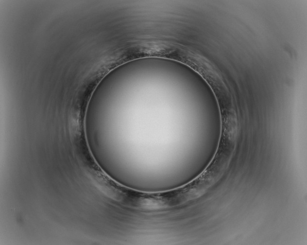 X0000112720510200908201251