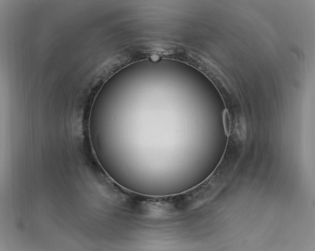 X0000112720512200908201251