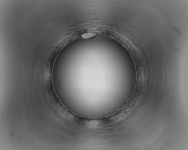 X0000112720513200908201251