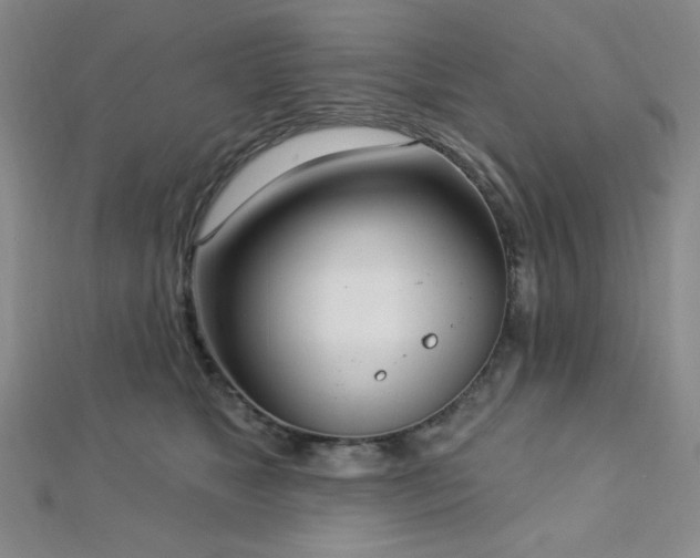 X0000112720517200908201251