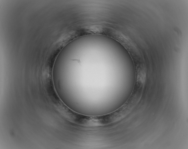 X0000112720518200908201251