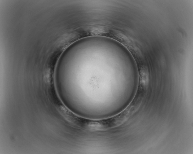 X0000112720519200908201251