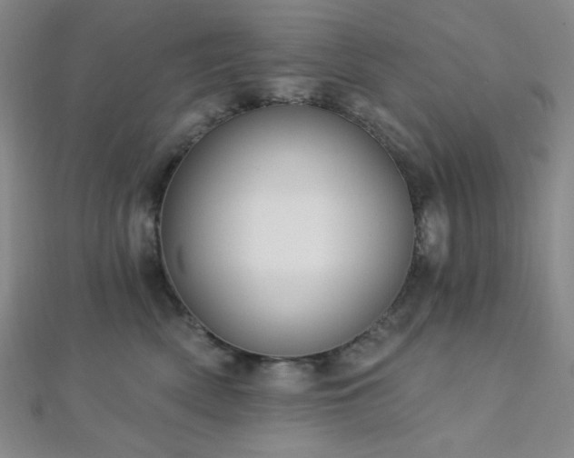 X0000112720522200908201251