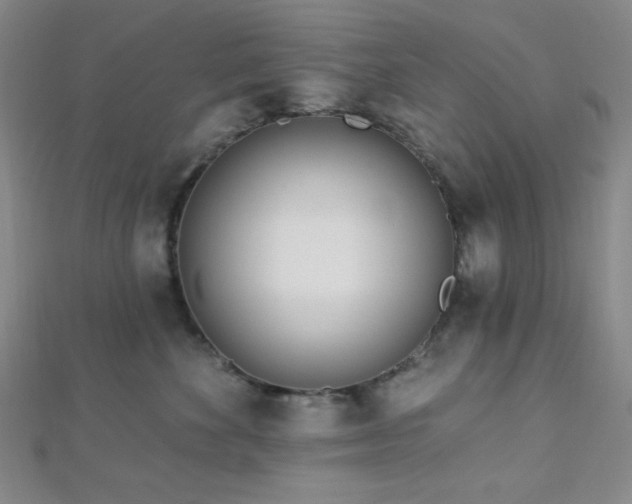 X0000112720524200908201251