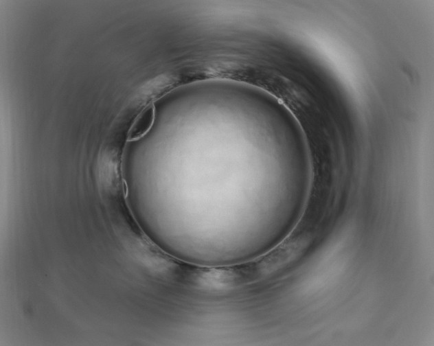 X0000112720527200908201251