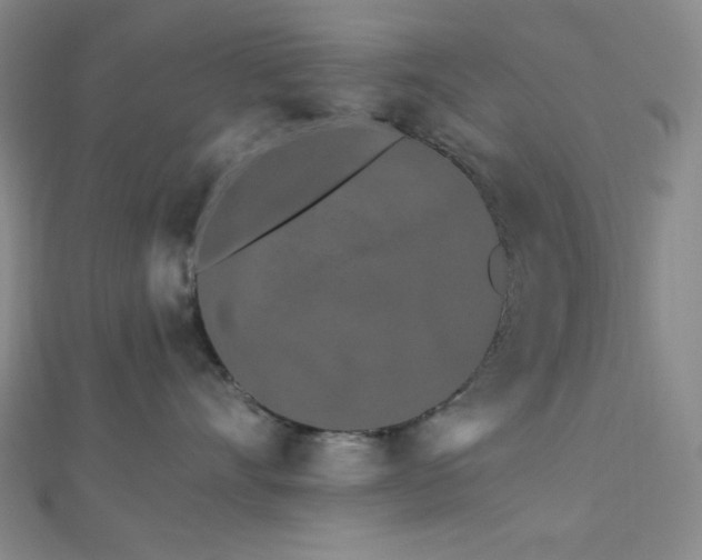 X0000112720528200908201251
