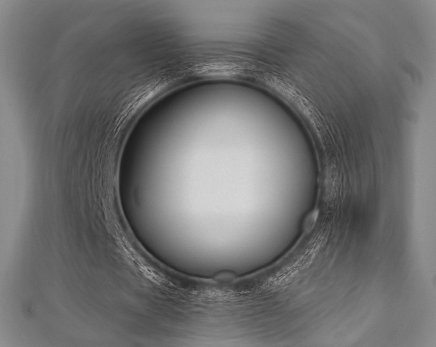 X0000112720529200908201250