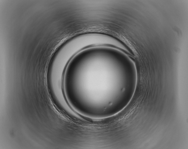 X0000112720530200908201250