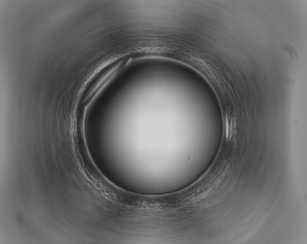 X0000112720531200908201250