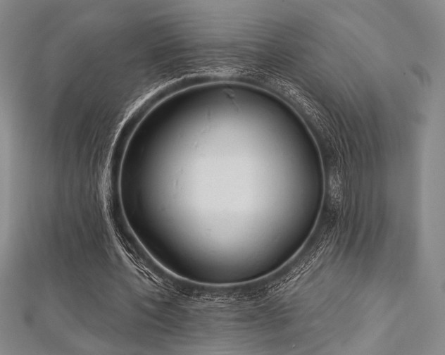 X0000112720532200908201250