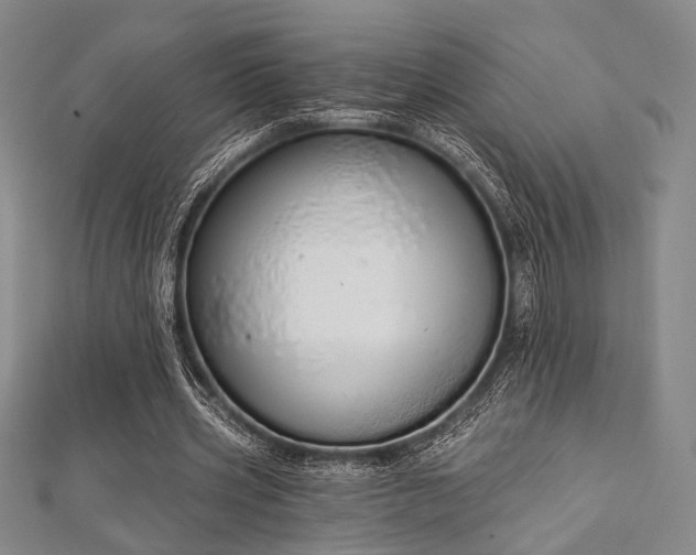 X0000112720533200908201250
