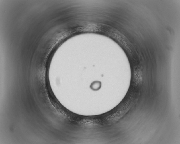 X0000112720534200908201250