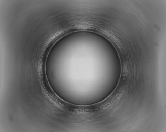 X0000112720535200908201250