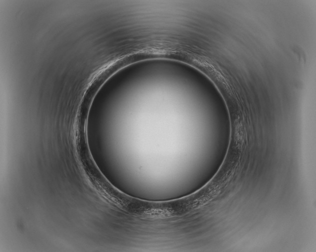 X0000112720536200908201250