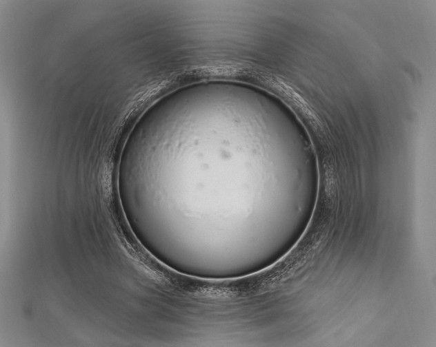 X0000112720537200908201250