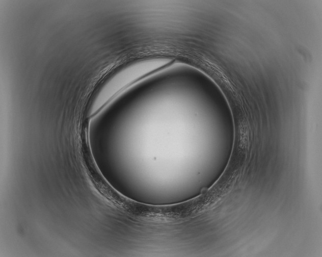 X0000112720538200908201250