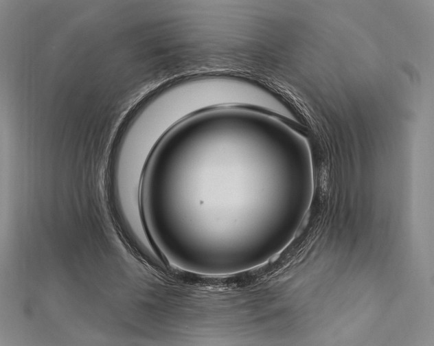 X0000112720540200908201250