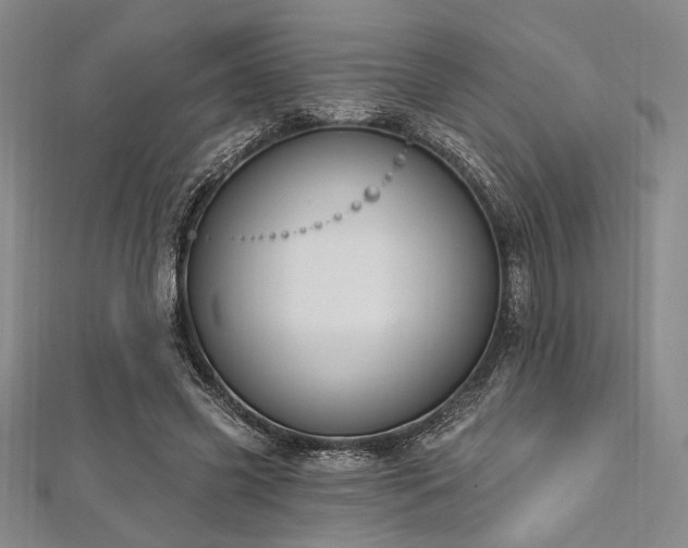 X0000112720541200908201250