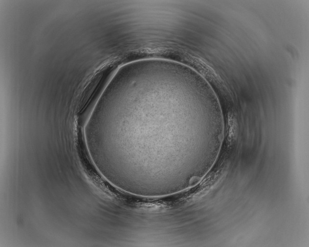 X0000112720542200908201250