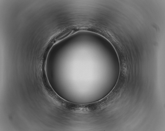 X0000112720543200908201250