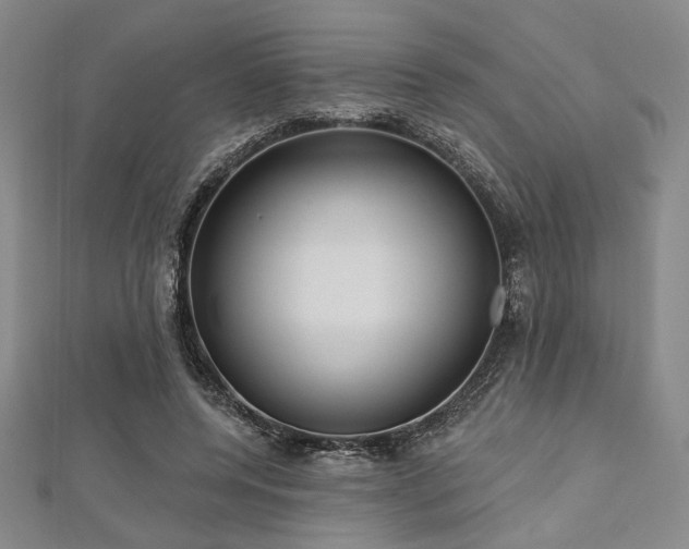X0000112720544200908201250