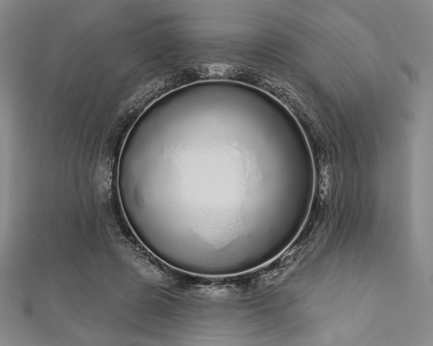 X0000112720545200908201250