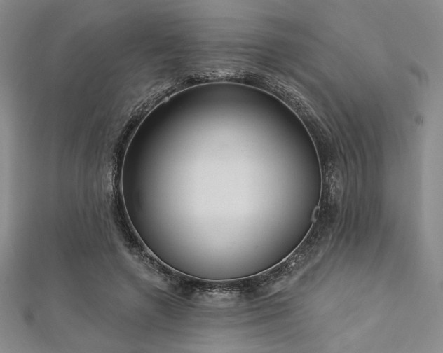 X0000112720546200908201250