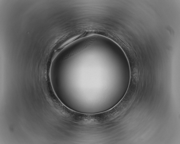 X0000112720547200908201250