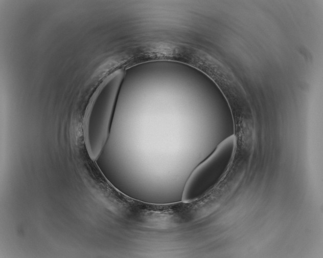 X0000112720548200908201250