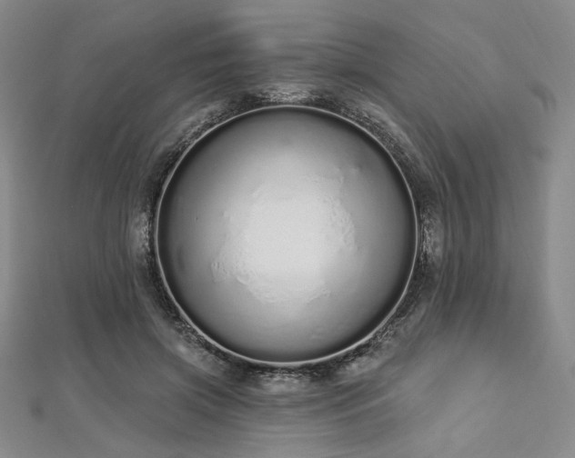 X0000112720549200908201250