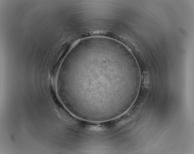 X0000112720550200908201250
