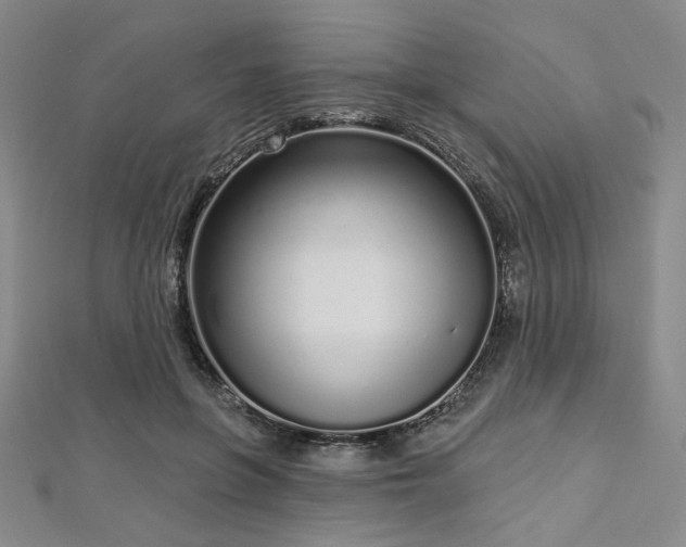 X0000112720551200908201250