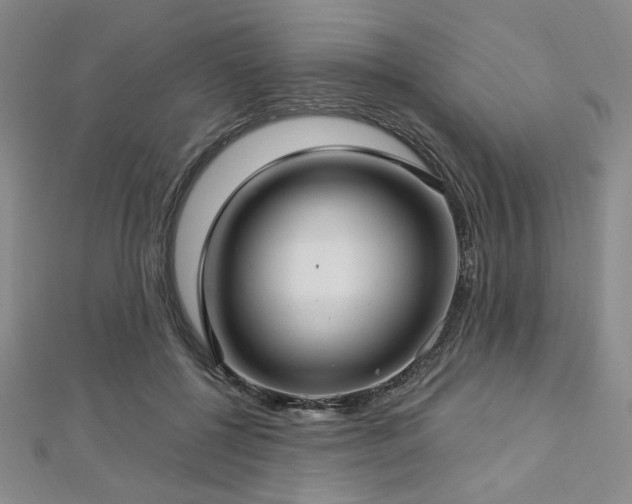 X0000112720552200908201250