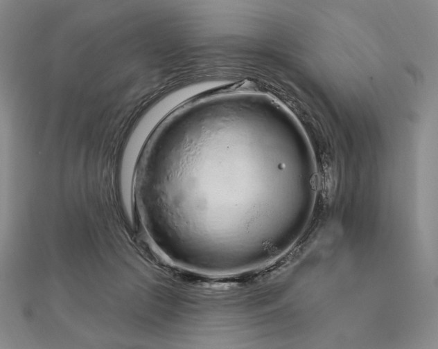 X0000112720553200908201250